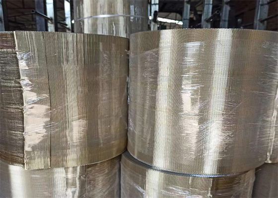 110 Mesh Copper Clad Steel Wire Continous Filter Belt Screens For Italy Screen Changer Machine